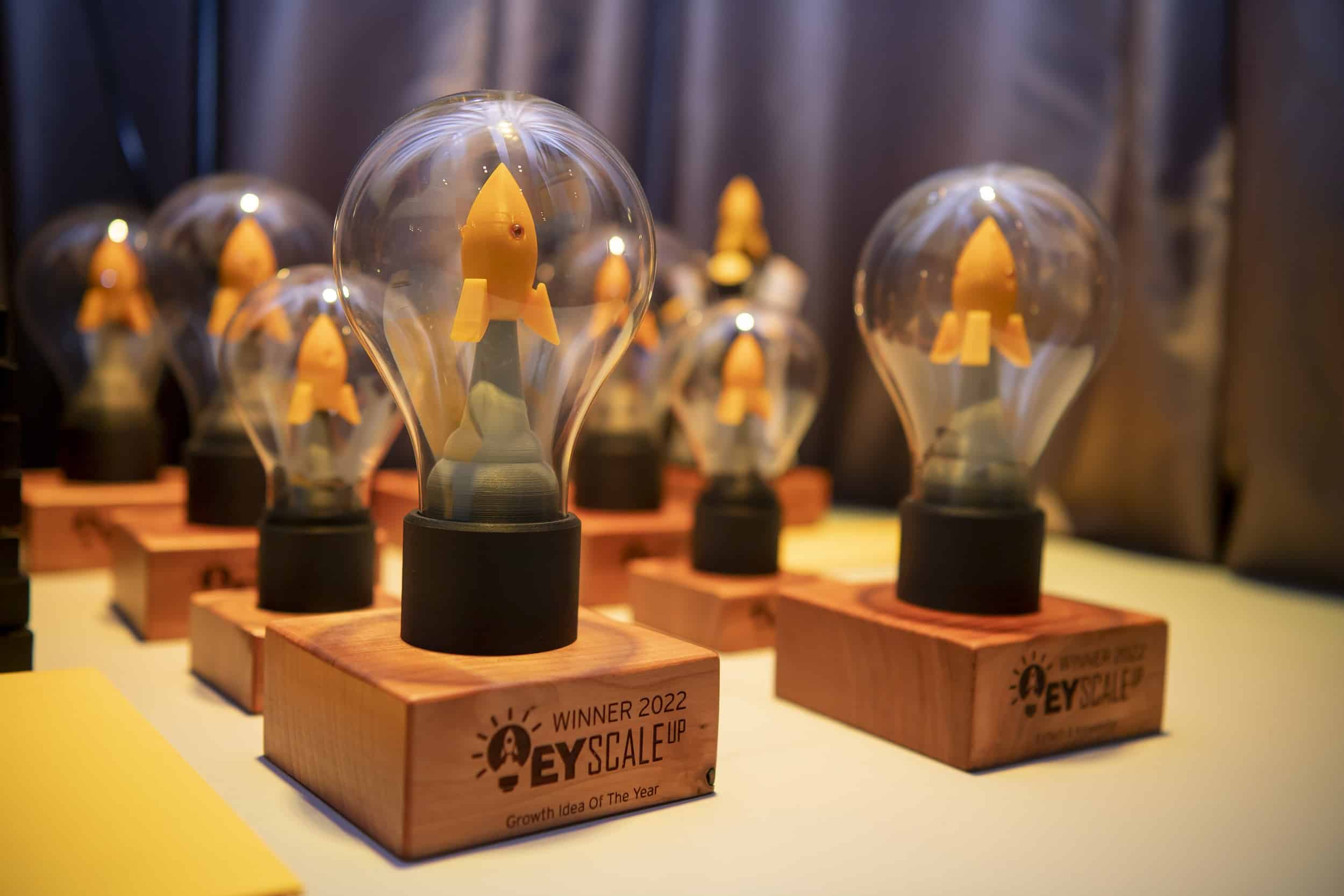 SCALE UP Award - EY Law Sponsor JuRY